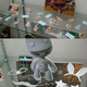 Illustration for article titled Toy Fair 2009: Sgt. Johnson, WoW LittleBigPlanet